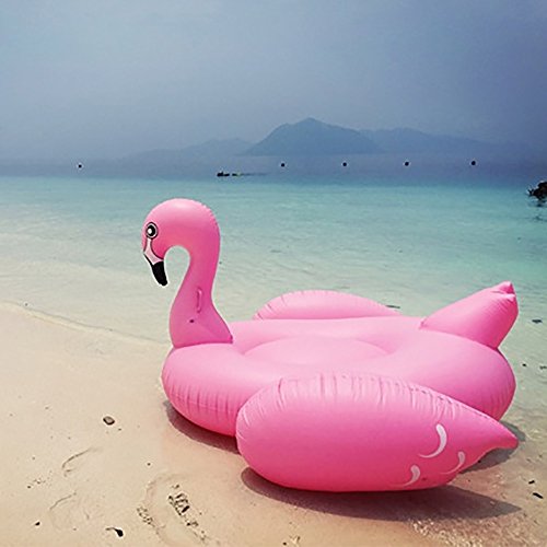 Flotador Flamingo Gigante Pedidos Co Tienda